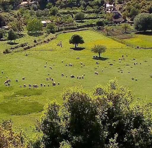 Lil' Fam Farm - 10min *