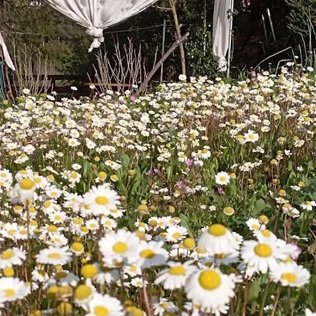 Lil' Fam Farm - 10min Σπίτι διακοπών