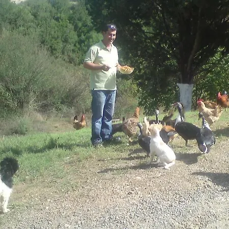 Lil' Fam Farm - 10min Σπίτι διακοπών