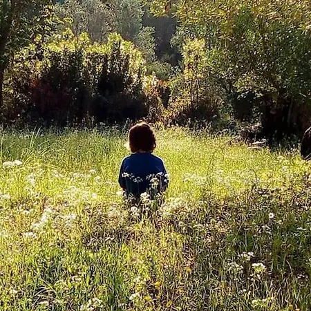 Lil' Fam Farm - 10min *