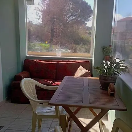 Lil' Fam Farm - 10min *