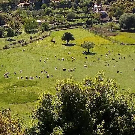 Lil' Fam Farm - 10min *