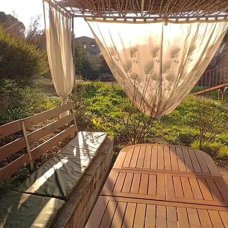 Σπίτι διακοπών Lil' Fam Farm - 10min