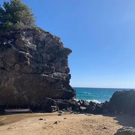 Lil' Fam Farm - 10min Σπίτι διακοπών *