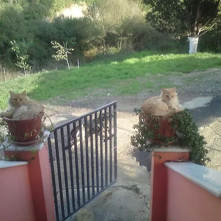 Lil' Fam Farm - 10min Σπίτι διακοπών