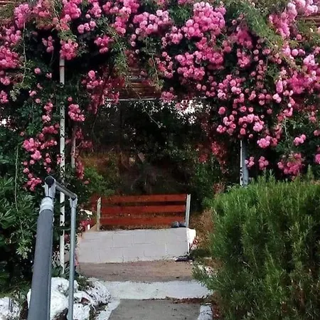 Σπίτι διακοπών Lil' Fam Farm - 10min *