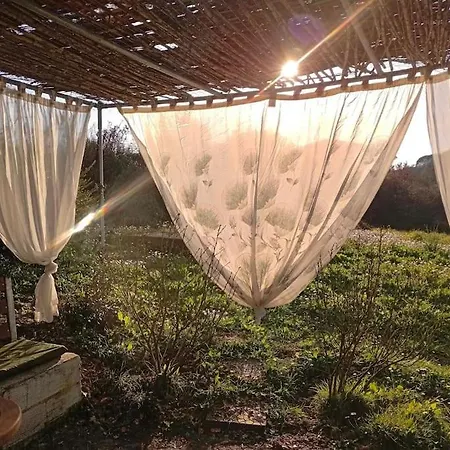 Lil' Fam Farm - 10min *