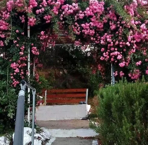 Σπίτι διακοπών Lil' Fam Farm - 10min *