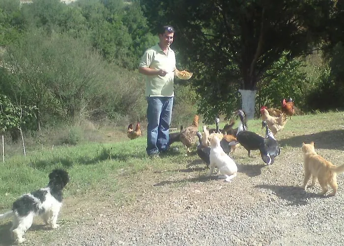 Lil' Fam Farm - 10min Сasa de vacaciones
